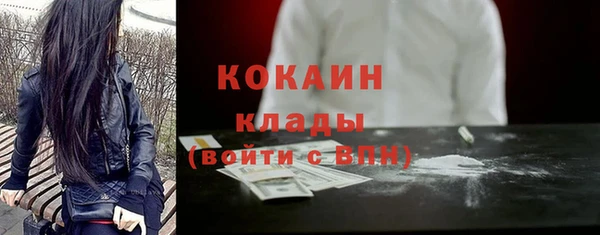 ALPHA-PVP Каменка