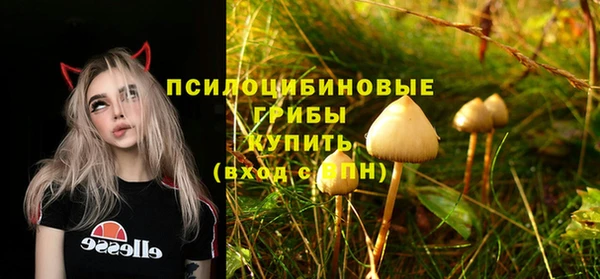 не бодяженный Каменск-Шахтинский