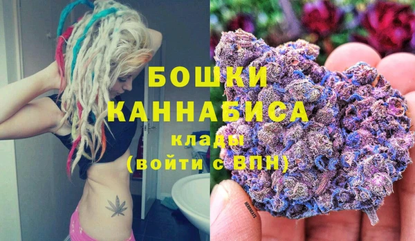 ALPHA-PVP Каменка