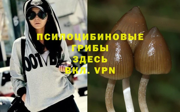 не бодяженный Каменск-Шахтинский